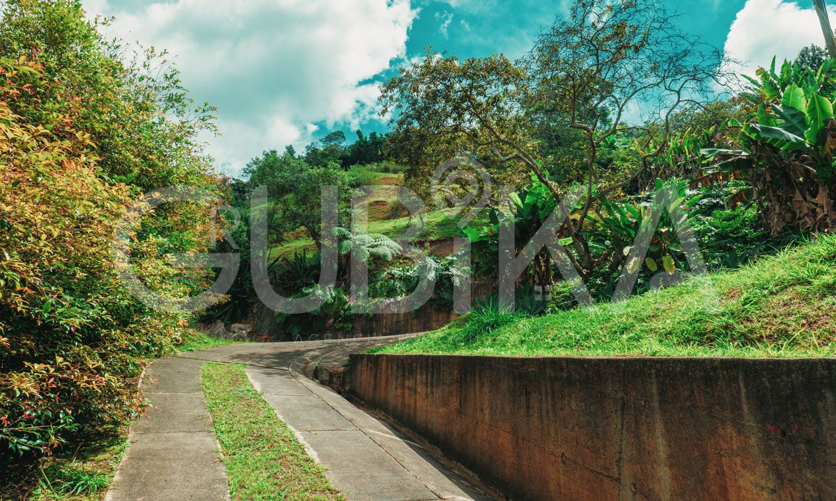 lote-parcelacion-miralia-ubika-71