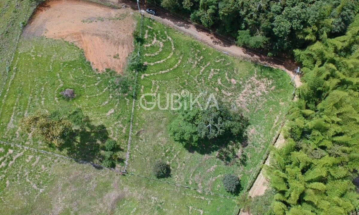 Lote-venta-holanda-calima-ubika-101