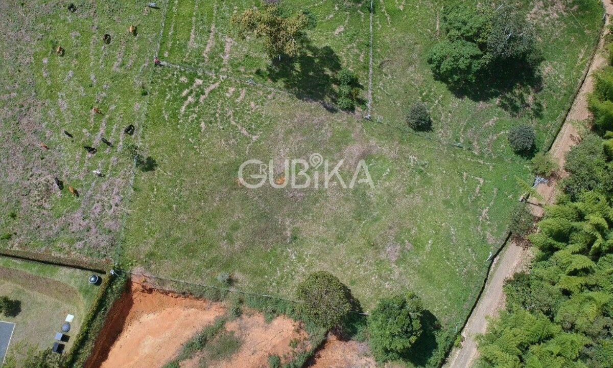 Lote-venta-holanda-calima-ubika-107